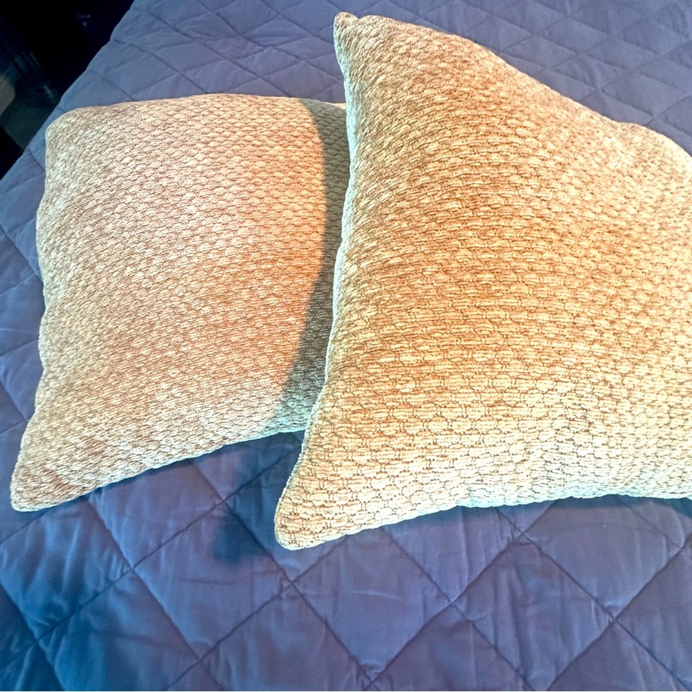 Set of 2 Super Soft Gold/Yellow Throw Pillows